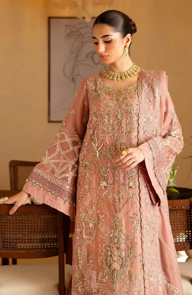 Pastel Pink Chiffon Suit