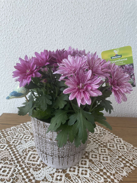 Blumenvase