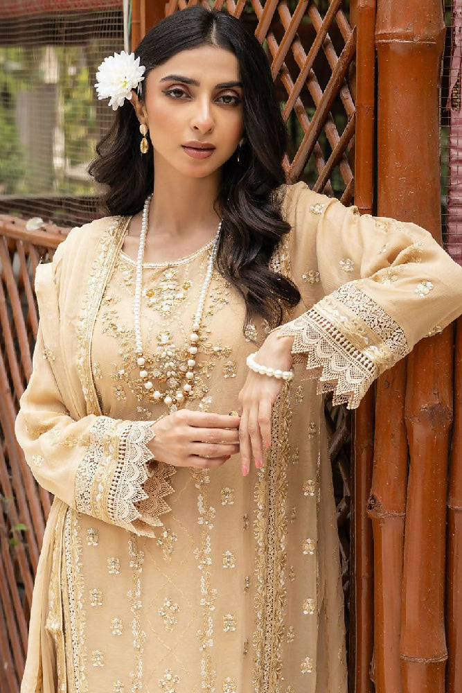 Noori Soha Chiffon