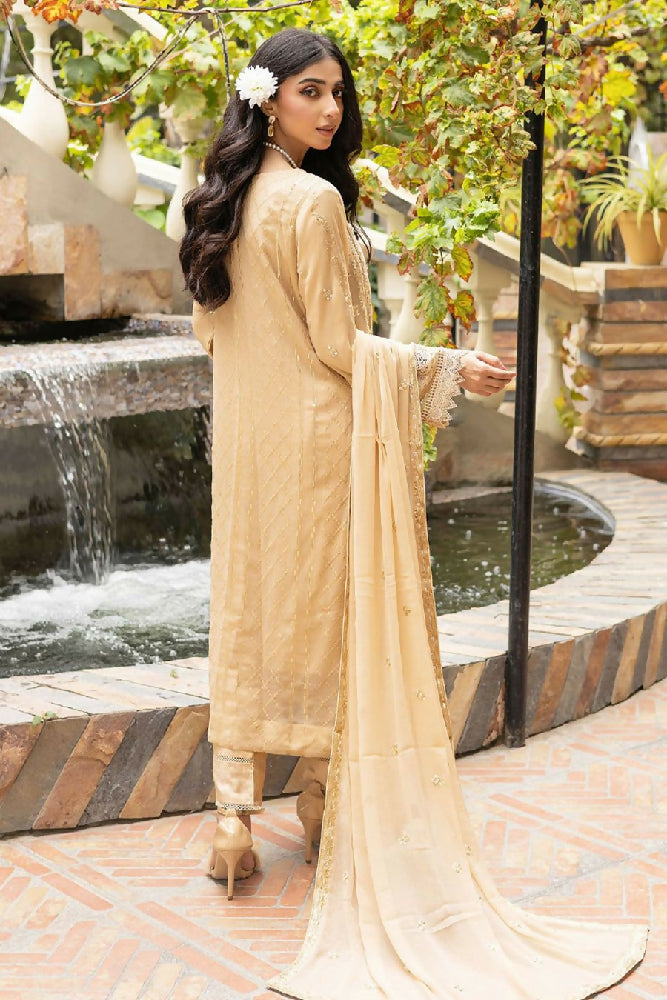 Noori Soha Chiffon